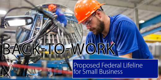 Proposed Federal Lifeline for Small Business