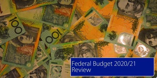Federal Budget Review 20/2021