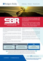 Small Business Restructuring (SBR) by Rodgers Reidy